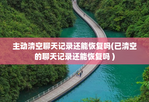主动清空聊天记录还能恢复吗(已清空的聊天记录还能恢复吗 )