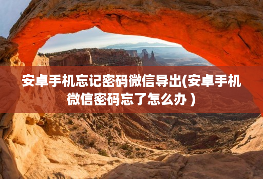 安卓手机忘记密码微信导出(安卓手机微信密码忘了怎么办 )