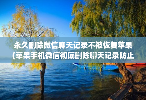 永久删除微信聊天记录不被恢复苹果(苹果手机微信彻底删除聊天记录防止被恢 )