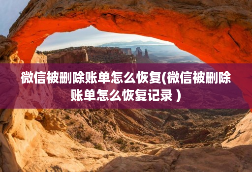 微信被删除账单怎么恢复(微信被删除账单怎么恢复记录 )