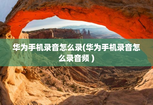 华为手机录音怎么录(华为手机录音怎么录音频 )