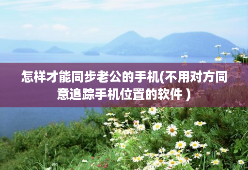 怎样才能同步老公的手机(不用对方同意追踪手机位置的软件 )