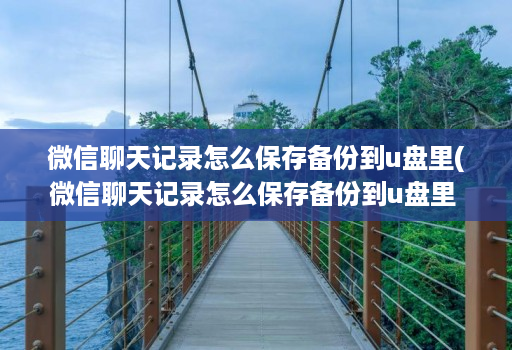 微信聊天记录怎么保存备份到u盘里(微信聊天记录怎么保存备份到u盘里 )