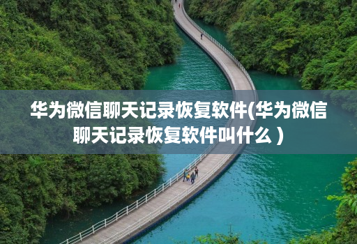 华为微信聊天记录恢复软件(华为微信聊天记录恢复软件叫什么 )