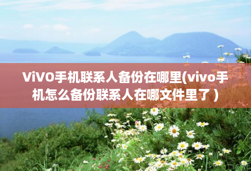 ViVO手机联系人备份在哪里(vivo手机怎么备份联系人在哪文件里了 )