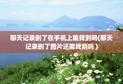 聊天记录删了在手机上能找到吗(聊天记录删了图片还能找到吗 )