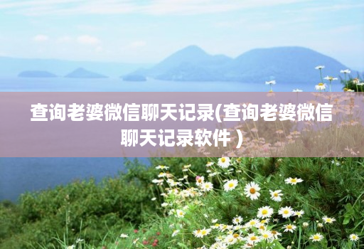 查询老婆微信聊天记录(查询老婆微信聊天记录软件 )