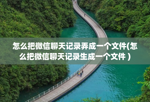 怎么把微信聊天记录弄成一个文件(怎么把微信聊天记录生成一个文件 )