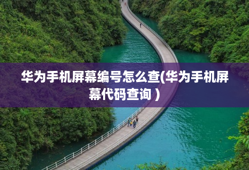 华为手机屏幕编号怎么查(华为手机屏幕代码查询 )