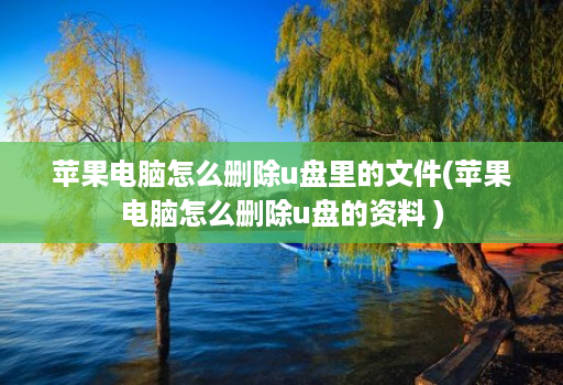 苹果电脑怎么删除u盘里的文件(苹果电脑怎么删除u盘的资料 )