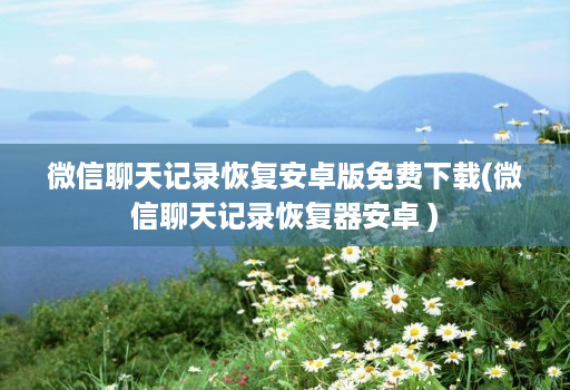 微信聊天记录恢复安卓版免费下载(微信聊天记录恢复器安卓 )