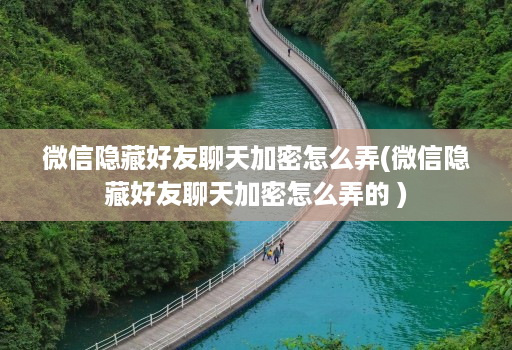 微信隐藏好友聊天加密怎么弄(微信隐藏好友聊天加密怎么弄的 )