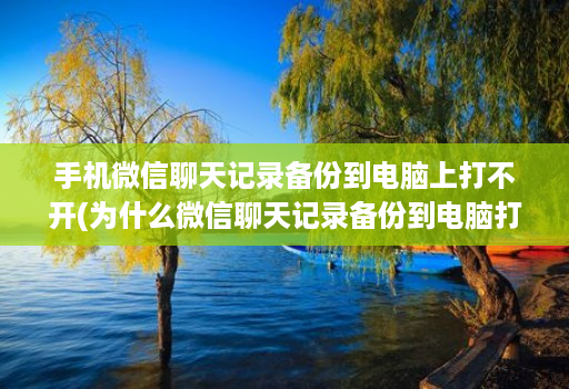手机微信聊天记录备份到电脑上打不开(为什么微信聊天记录备份到电脑打不开 )