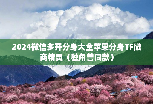 2024微信多开分身大全苹果分身TF微商精灵(独角兽同款)