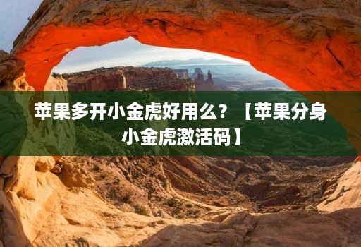 苹果多开小金虎好用么?【苹果分身小金虎激活码】