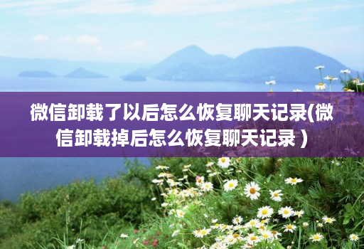 微信卸载了以后怎么恢复聊天记录(微信卸载掉后怎么恢复聊天记录 )