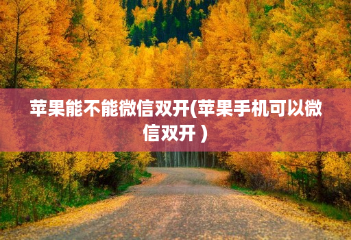 苹果能不能微信双开(苹果手机可以微信双开 )