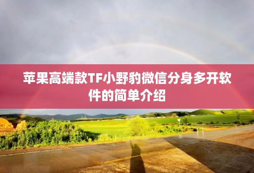 苹果高端款TF小野豹微信分身多开软件的简单介绍