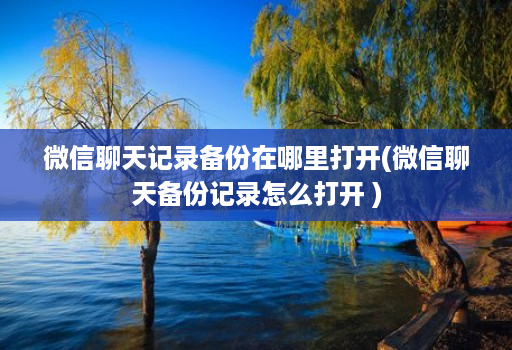 微信聊天记录备份在哪里打开(微信聊天备份记录怎么打开 ) 微信聊天记录备份在哪里打开(微信聊天备份记录怎么打开 )