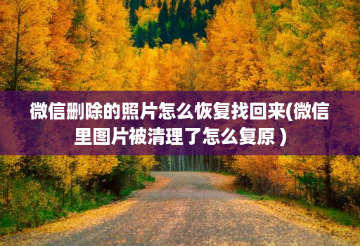 微信删除的照片怎么恢复找回来(微信里图片被清理了怎么复原 )