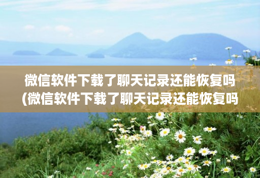 微信软件下载了聊天记录还能恢复吗(微信软件下载了聊天记录还能恢复吗 )