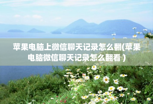 苹果电脑上微信聊天记录怎么翻(苹果电脑微信聊天记录怎么翻看 ) 苹果电脑上微信聊天记录怎么翻(苹果电脑微信聊天记录怎么翻看 )