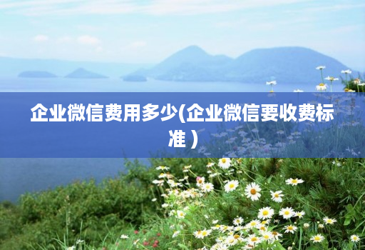 企业微信费用多少(企业微信要收费标准 )