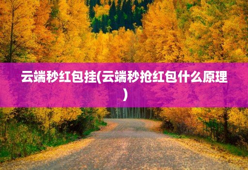 云端秒红包挂(云端秒抢红包什么原理 )