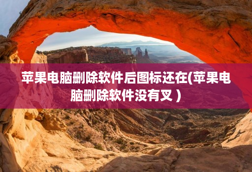 苹果电脑删除软件后图标还在(苹果电脑删除软件没有叉 )