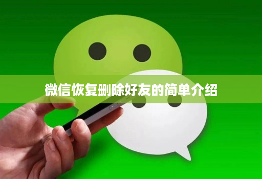 微信恢复删除好友的简单介绍