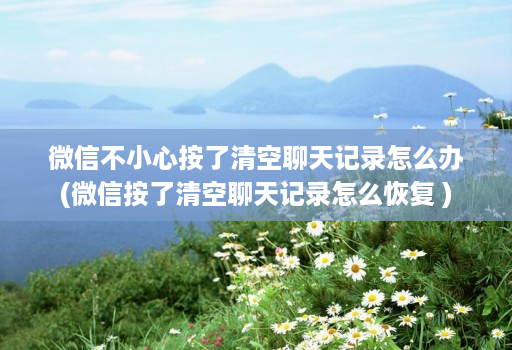 微信不小心按了清空聊天记录怎么办(微信按了清空聊天记录怎么恢复 ) 微信不小心按了清空聊天记录怎么办(微信按了清空聊天记录怎么恢复 )