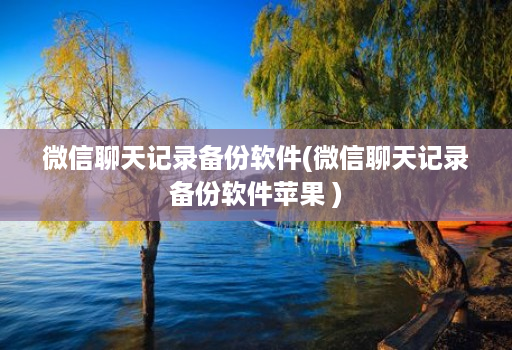 微信聊天记录备份软件(微信聊天记录备份软件苹果 )