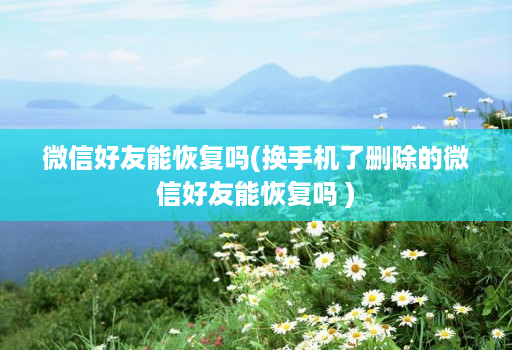 微信好友能恢复吗(换手机了删除的微信好友能恢复吗 )