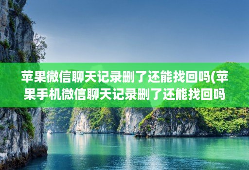 苹果微信聊天记录删了还能找回吗(苹果手机微信聊天记录删了还能找回吗 )