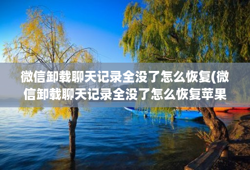 微信卸载聊天记录全没了怎么恢复(微信卸载聊天记录全没了怎么恢复苹果 )