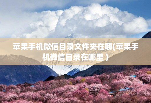 苹果手机微信目录文件夹在哪(苹果手机微信目录在哪里 )