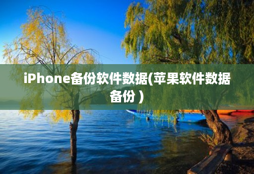 iPhone备份软件数据(苹果软件数据备份 )
