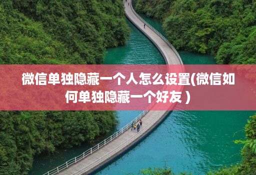 微信单独隐藏一个人怎么设置(微信如何单独隐藏一个好友 )