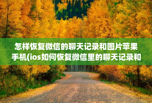 怎样恢复微信的聊天记录和图片苹果手机(ios如何恢复微信里的聊天记录和图片 )