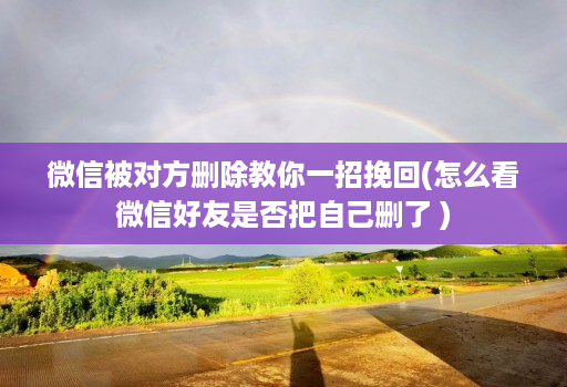 微信被对方删除教你一招挽回(怎么看微信好友是否把自己删了 )