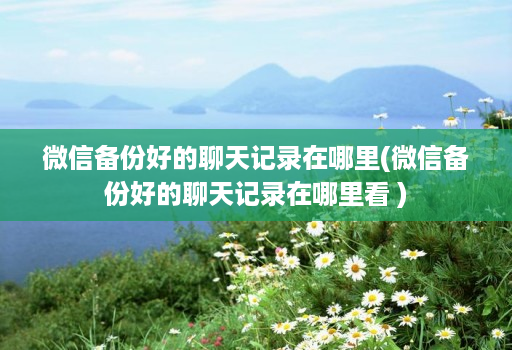 微信备份好的聊天记录在哪里(微信备份好的聊天记录在哪里看 )