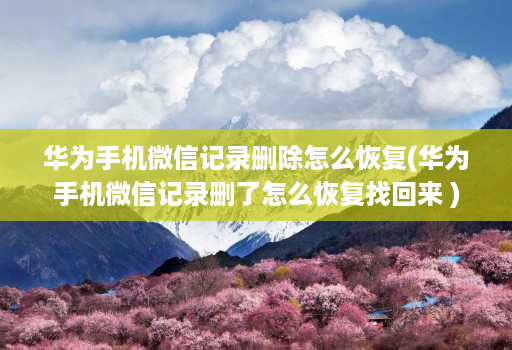 华为手机微信记录删除怎么恢复(华为手机微信记录删了怎么恢复找回来 )