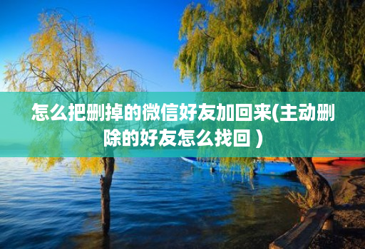 怎么把删掉的微信好友加回来(主动删除的好友怎么找回 )