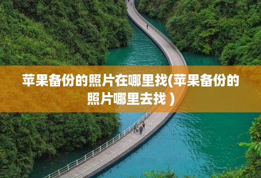 苹果备份的照片在哪里找(苹果备份的照片哪里去找 )