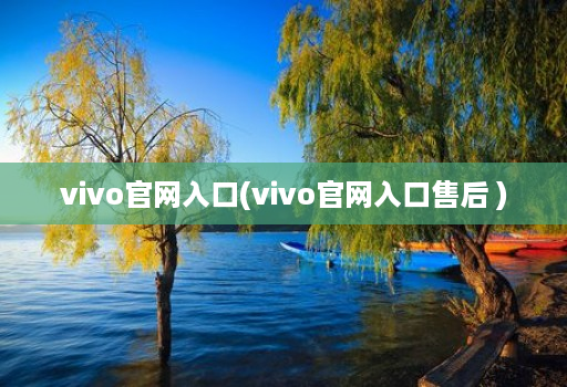 vivo官网入口(vivo官网入口售后 )