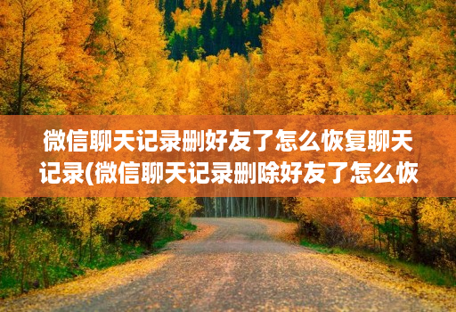微信聊天记录删好友了怎么恢复聊天记录(微信聊天记录删除好友了怎么恢复聊天记录 )