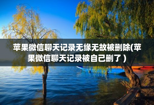 苹果微信聊天记录无缘无故被删除(苹果微信聊天记录被自己删了 )