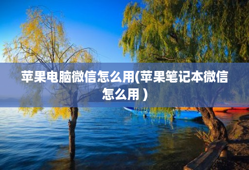 苹果电脑微信怎么用(苹果笔记本微信怎么用 )