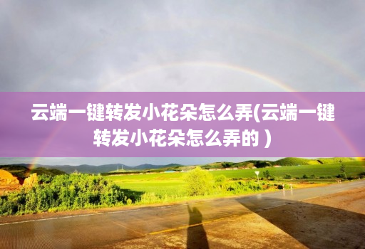 云端一键转发小花朵怎么弄(云端一键转发小花朵怎么弄的 )