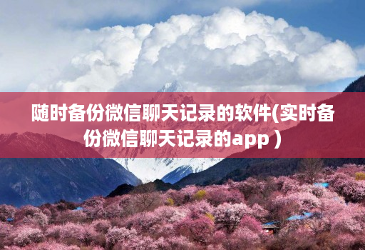 随时备份微信聊天记录的软件(实时备份微信聊天记录的app )